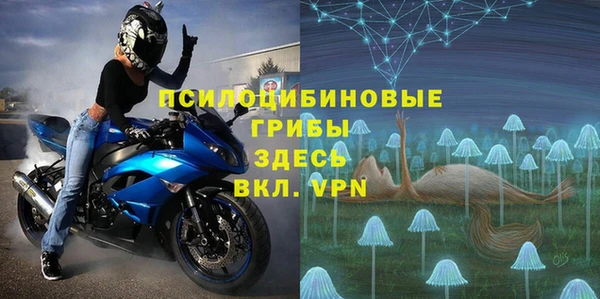 кокс Инсар