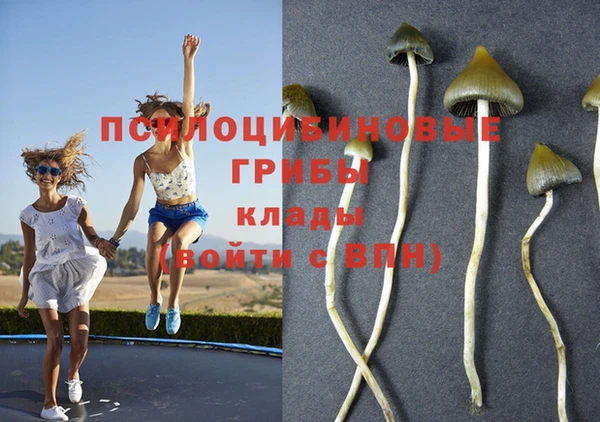 круглые Инта