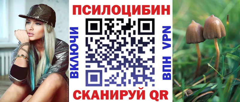 Купить  Камызяк  Псилоцибиновые грибы мухоморы 